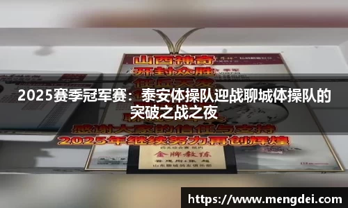 2025赛季冠军赛：泰安体操队迎战聊城体操队的突破之战之夜