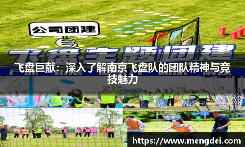 飞盘巨献：深入了解南京飞盘队的团队精神与竞技魅力